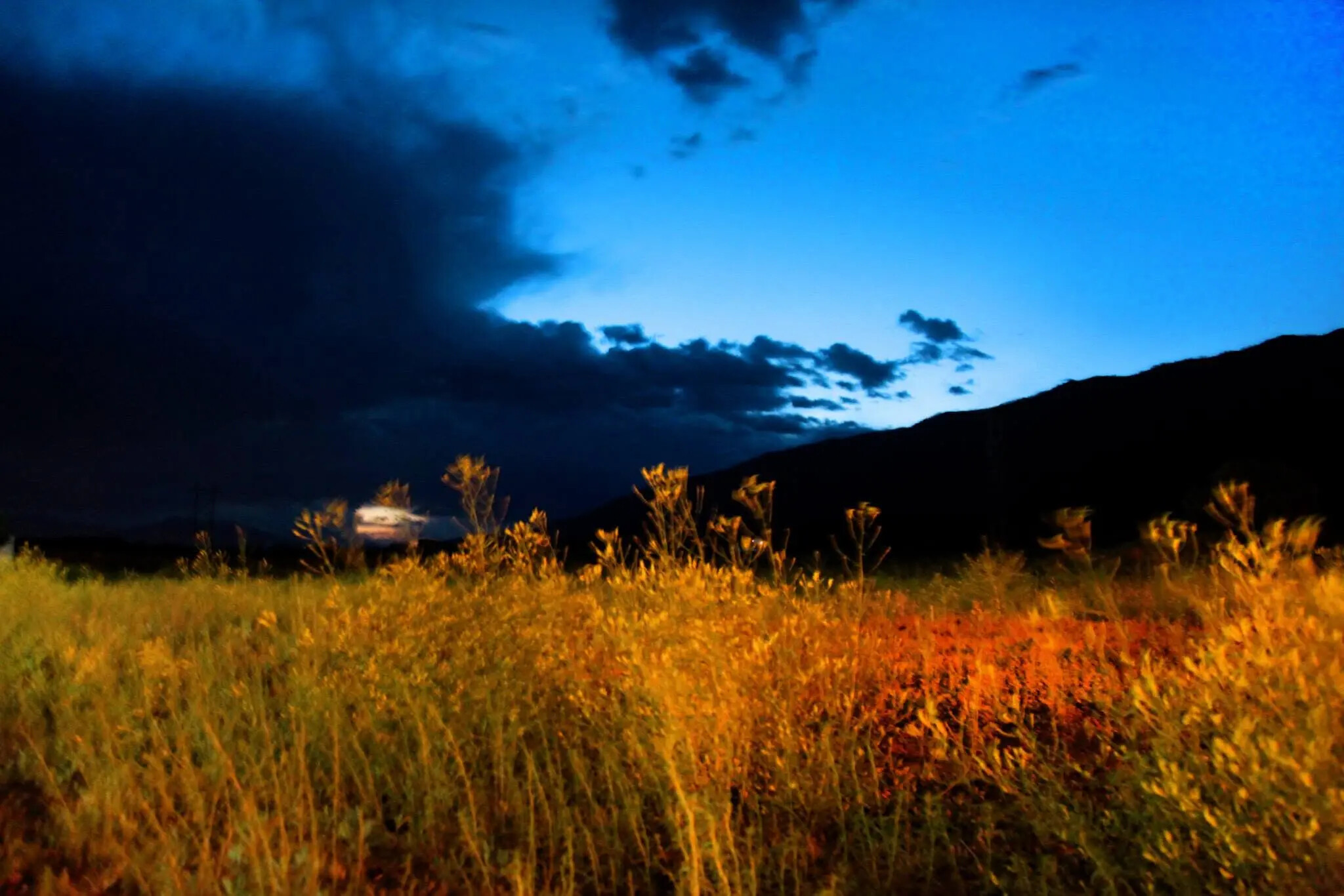 Desert terrain beneath a blue night sky, photographed by Rodney Marullo