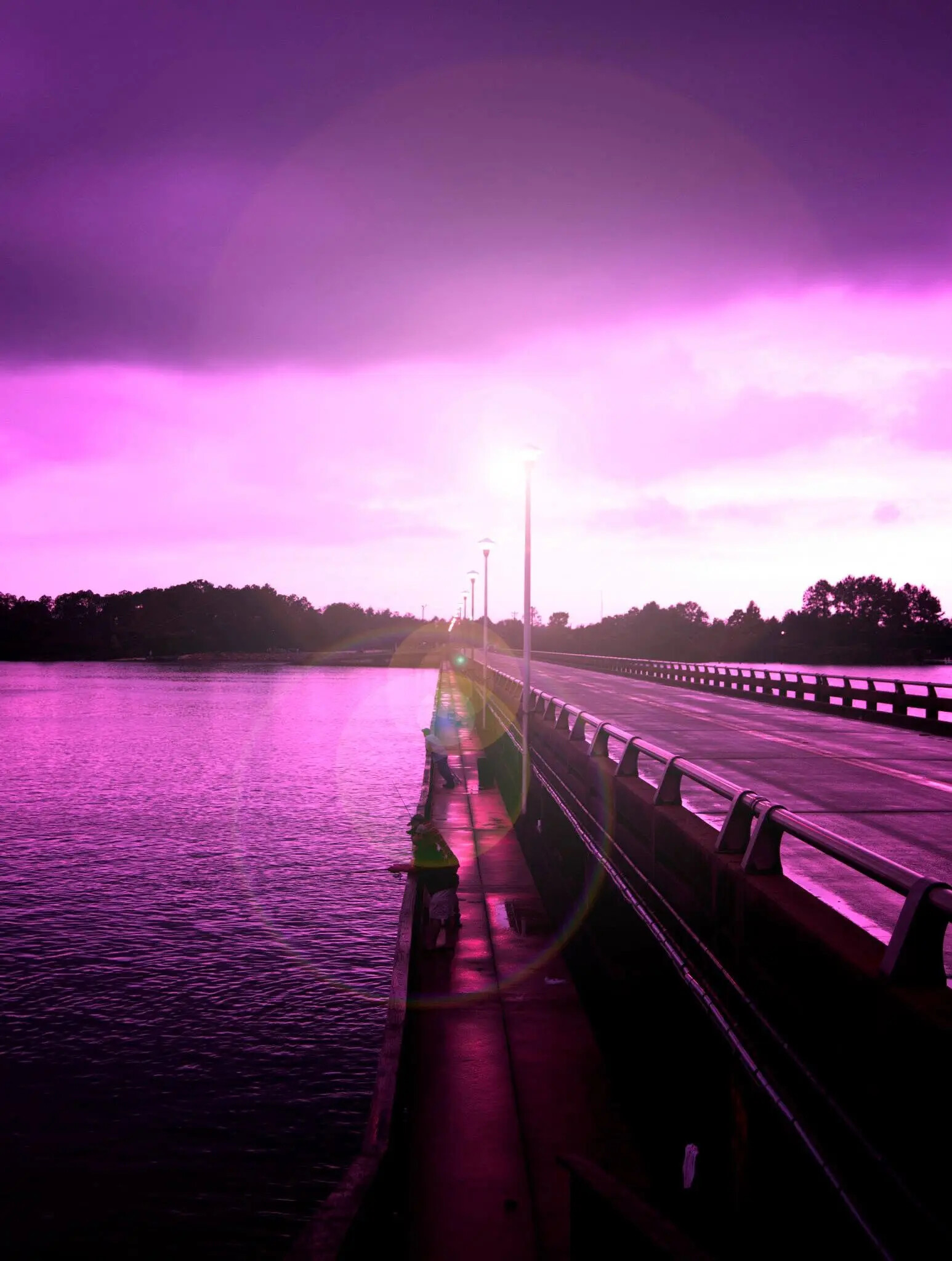 Electric magenta waterfront photographed by Rodney Marullo
