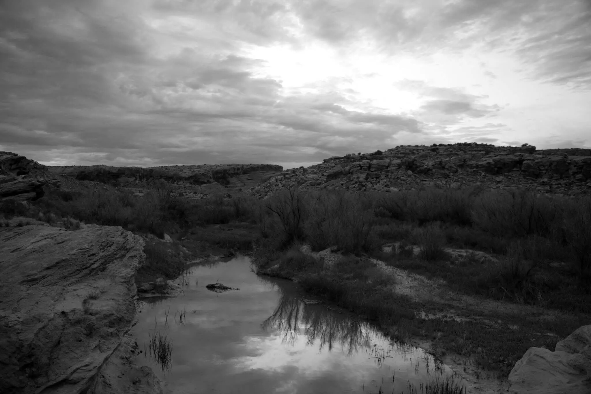 Monochrome river landscape photographed by Rodney Marullo